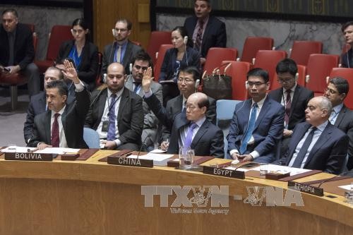 Russia, China veto UN Security Council resolution on Syria sanctions - ảnh 1